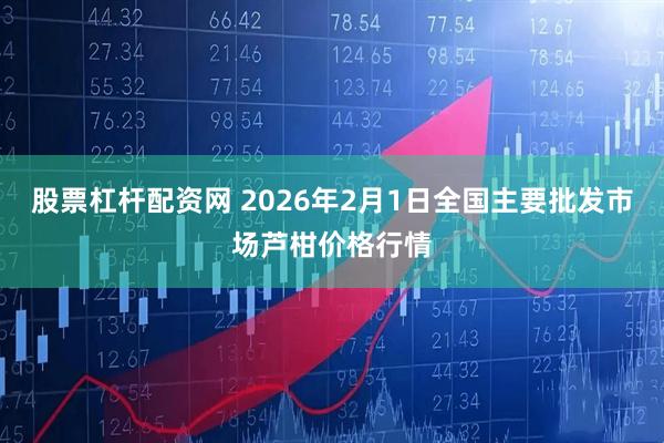 股票杠杆配资网 2026年2月1日全国主要批发市场芦柑价格行情